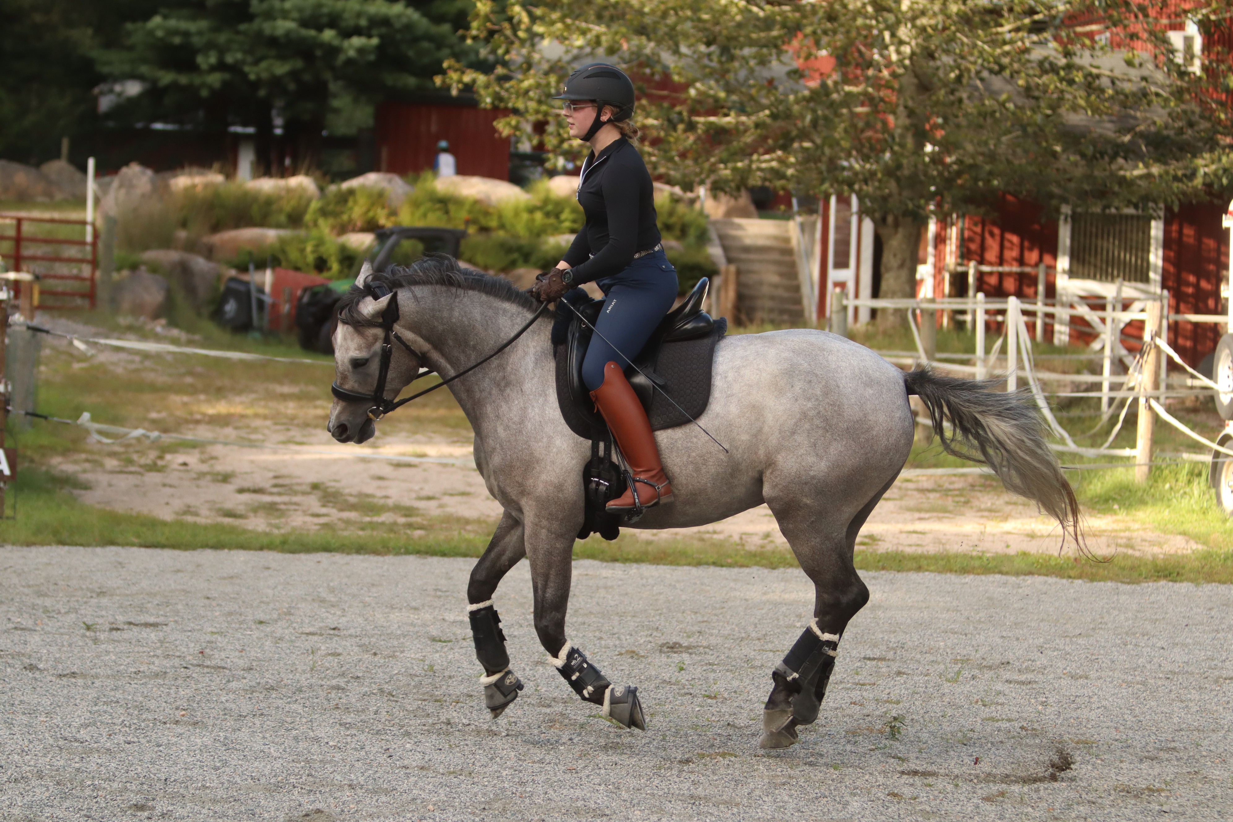 Equestrian Gallery